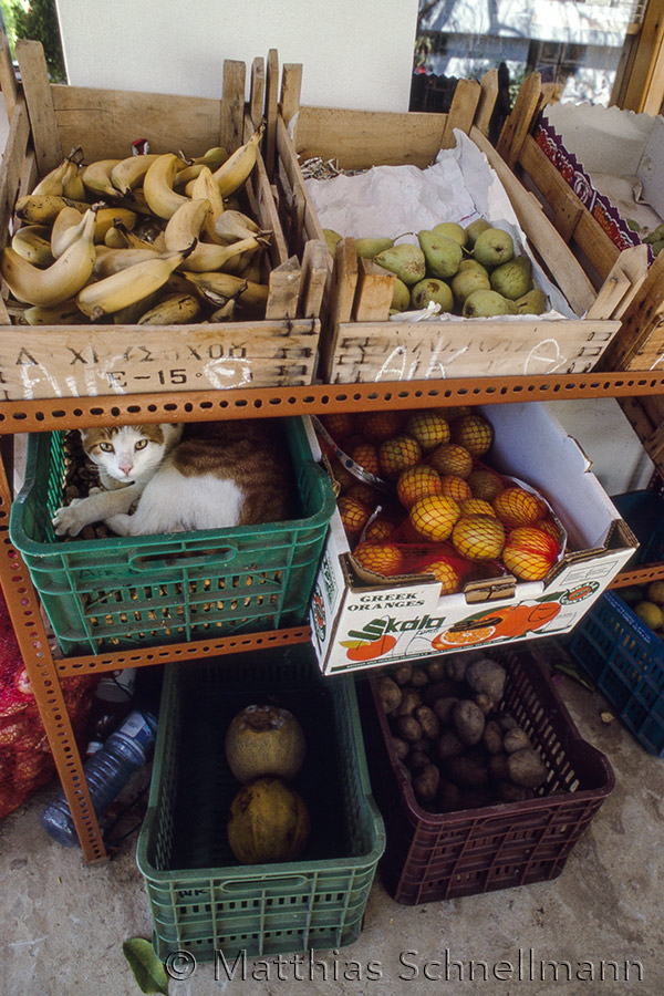 Local shop, Alonnisos, Greece